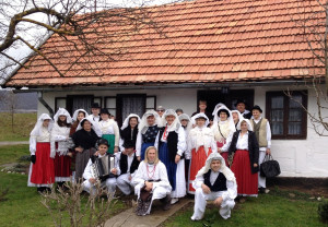 Krinjke (17)