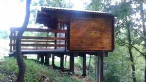 20150825_093323 (Kopiraj)