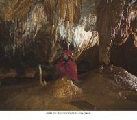13_raznolikost-i-bogatstvo-sigovine-001