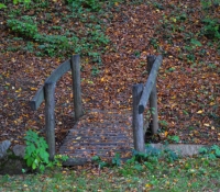 dsc_0172a