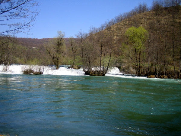 mreznica050415