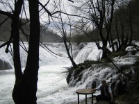mreznica050416