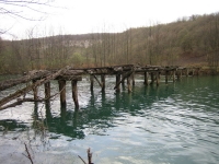 mreznica050416a