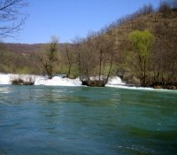 mreznica050415