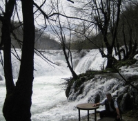 mreznica050416