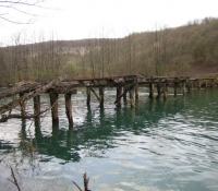 mreznica050416a