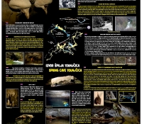 ploca_tounjcica-copy