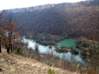 tounjcica050402