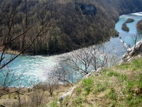 tounjcica050415a