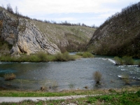 tounjcica050416