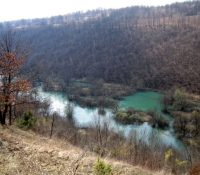 tounjcica050402