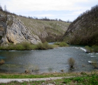 tounjcica050416