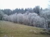 2013-12-17-14-28-51